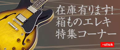 在庫有ります、箱ものエレキ特集