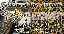 いろんなジャガー集めました♪