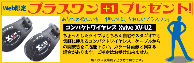 Web限定 コンパクトワイヤレス プレゼント★