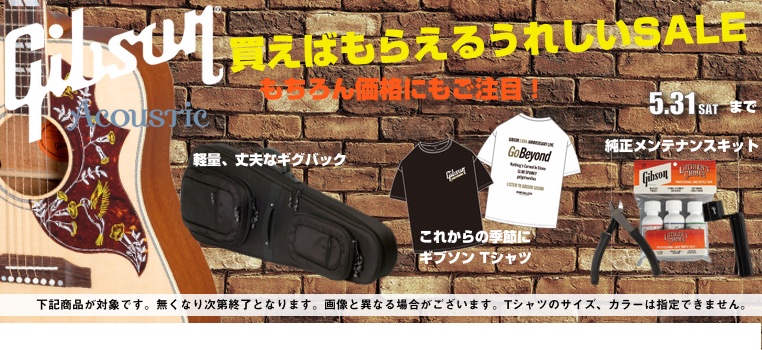 ギブソンフェア 2025  アコースティックギター