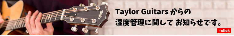 Taylor テイラー Taylor Swift Baby Taylor-e【テイラー