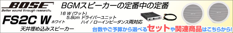 天井埋込スピーカー FS2CW ホワイト