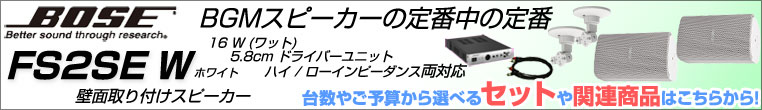 壁面取付スピーカー FS2SEW ホワイト