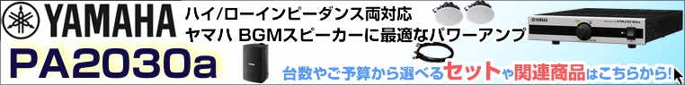 パワーアンプ PA2030a ハイ/ロー両対応  