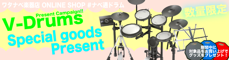 Roland ( ローランド ) VAD306 スターターセット ( Pearl フルオプション ツインペダル MEINL MDR-OR ) +  アンプ 【 TD-17 TD17 V-Drums 】 送料無料! | ワタナベ楽器店 ONLINE SHOP