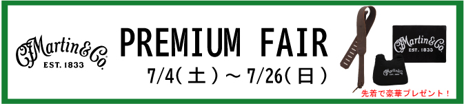 MARTIN GUITAR PREMIUM FAIR