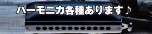 クロマチック、複音、ブルースハープ各種取扱中♪