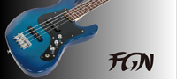 FGN(FUJIGEN)