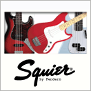 SQUIER ( スクワイヤー )