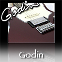 Godin