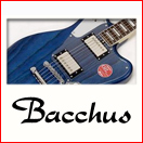 Bacchus ディバイザー sale!