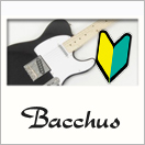 ビギナーにおすすめ！Bacchus