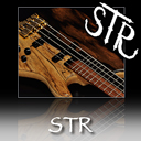 STR GUITARS