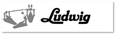 Ludwig