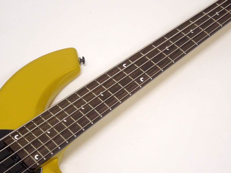 Music Man Bongo 5弦エレキベース Bongo 5 | Basses | Ernie Ball Music Man