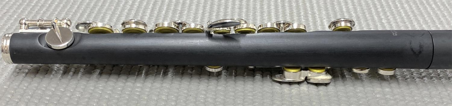 Pearl Flute パールフルート Pfp 105e ピッコロ 合成樹脂 グラナディッテ製 ハイウェーブタイプ歌口 管楽器 頭部管 管体 樹脂製 Eメカニズム Pfp105e セット C 送料無料 ワタナベ楽器店 Online Shop