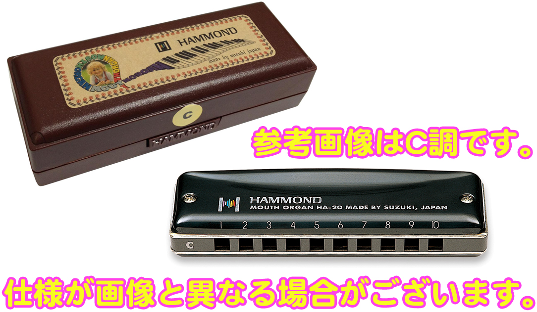 SUZUKI スズキ F調 HAMMOND HA-20 ブルースハーモニカ 10穴 ハーモニカ