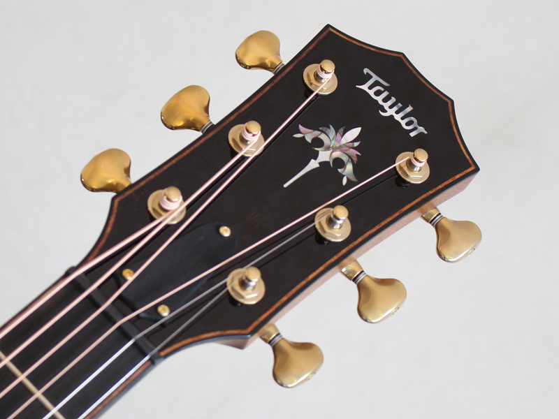 Taylor テイラー 914ce V-Class【アコースティックギター