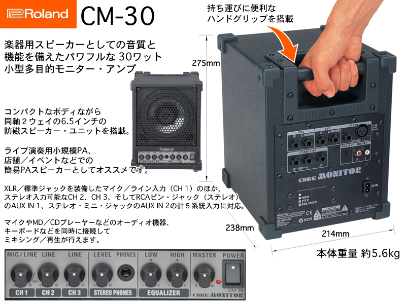 Roland CUBE CM-30 + Hexa Cable + pc-233s