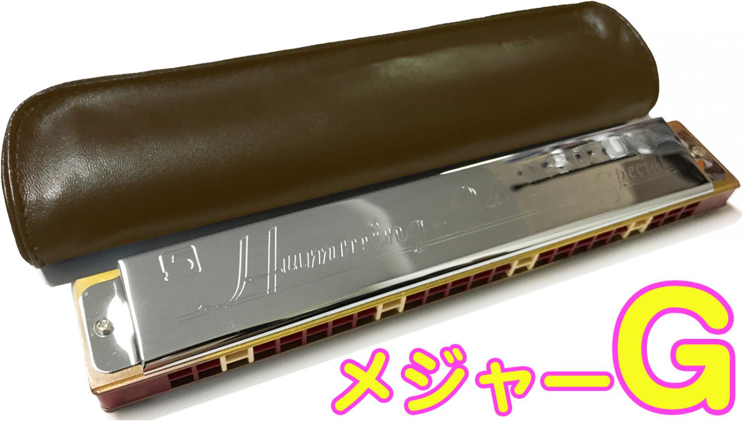 未使用　24穴 ハーモニカ　スズキ Amazon | SUZUKI -24H C 24穴 複音ハーモニカ 高級スズキ 複音