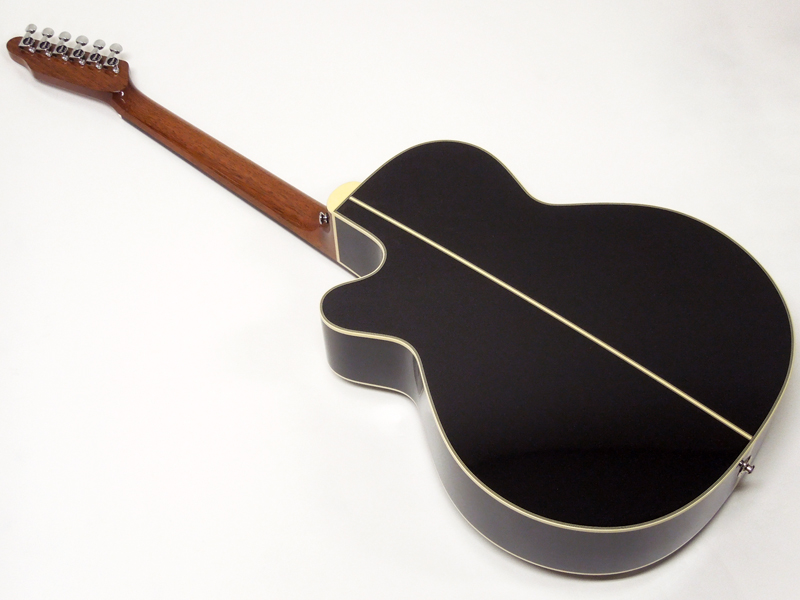 TAKAMINE タカミネ TDP500-6 / BL | ワタナベ楽器店 大阪店