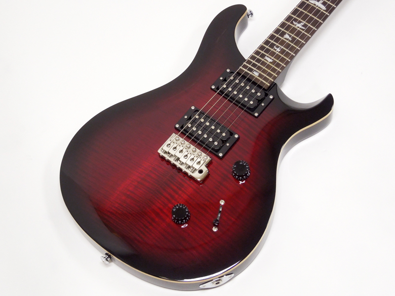 Paul Reed Smith /PRS ポール・リード・スミス SE CUSTOM 24 N
