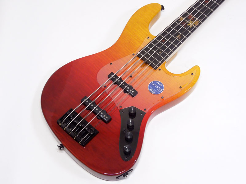 Bacchus バッカス WOODLINE 517AC/AL/E-MF'18 | ワタナベ楽器店