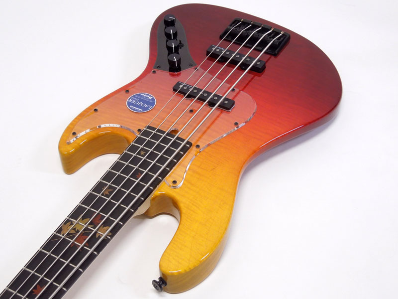Bacchus バッカス WOODLINE 517AC/AL/E-MF'18 | ワタナベ楽器店