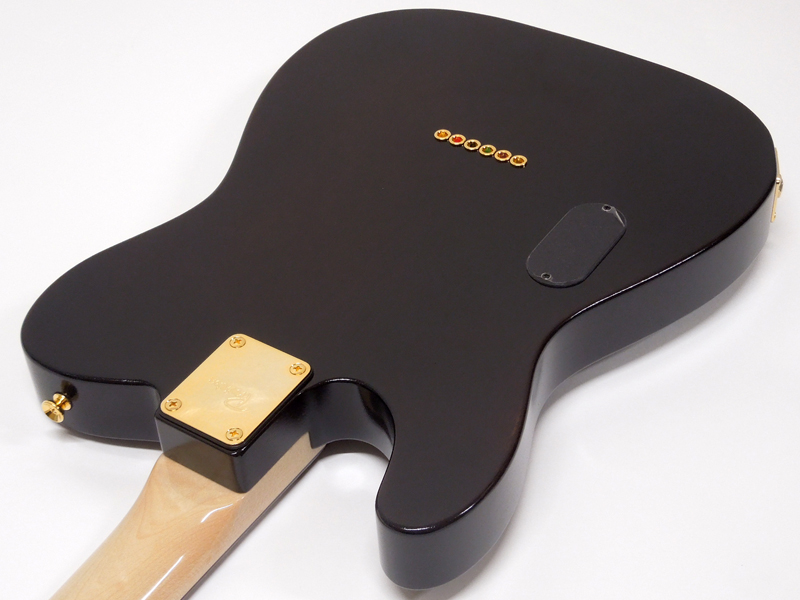 Provision プロビジョンギター TEC-TL / LTD-KARAKUSA Maple TOP