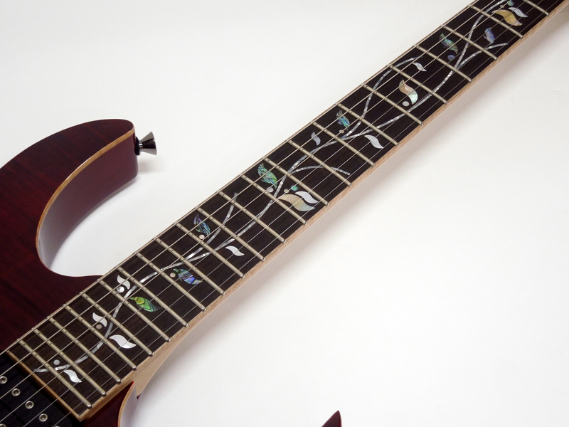 Ibanez アイバニーズ RG8520 / AGT < Used / 中古品