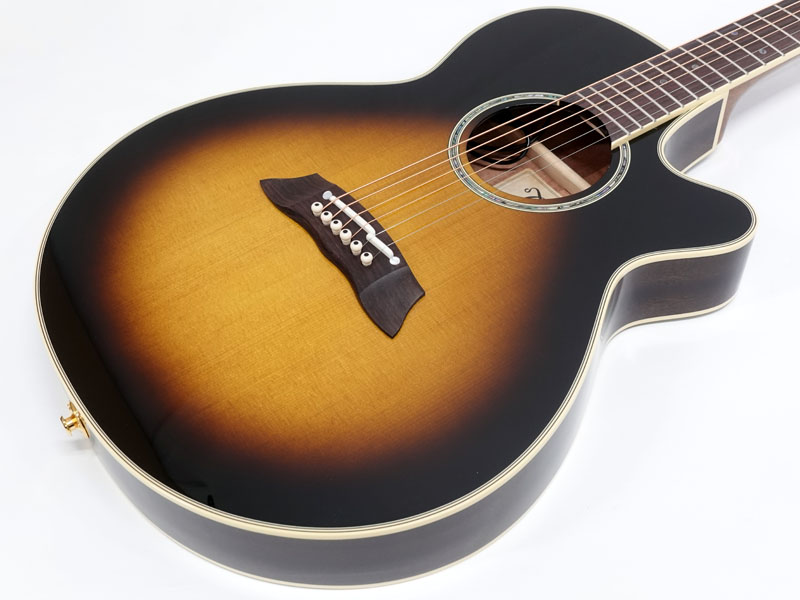 TAKAMINE ( タカミネ ) TSP138C / TBS | ワタナベ楽器店 大阪店