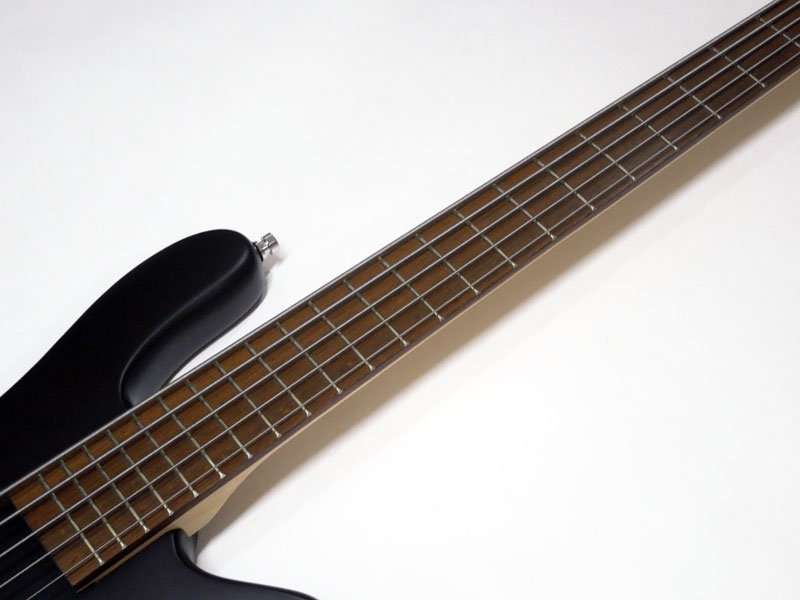 Warwick ワーウィック Rockbass STREAMER LX 5st / Nirvana