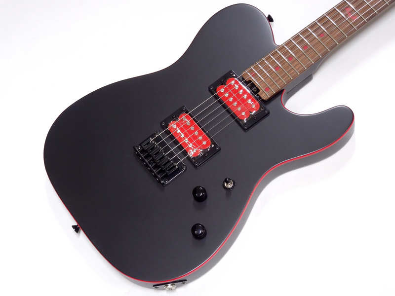 SCHECTER ( シェクター ) PA-SM SH 国産ギター SHOW-HATE Model 送料