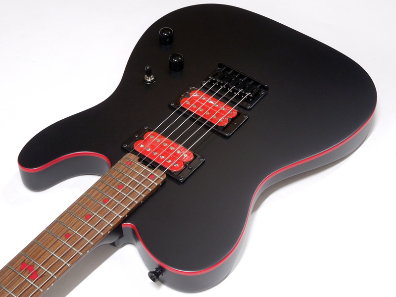 SCHECTER ( シェクター ) PA-SM SH 国産ギター SHOW-HATE