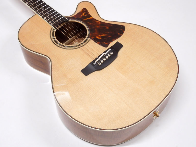 タカミネ ptu500 sp-k2 ハワイアンコア