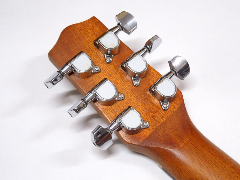 Ibanez アイバニーズ EWP14WB-OPN | ワタナベ楽器店 大阪店