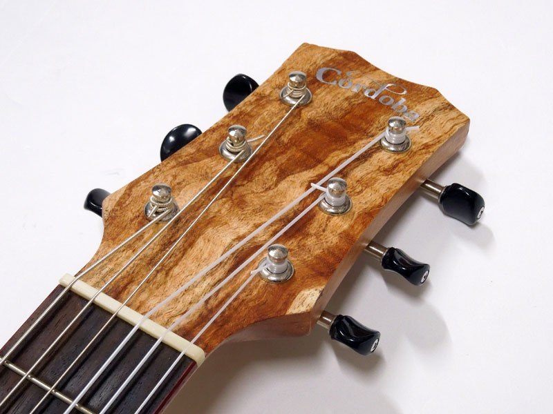 Cordoba MINI SM-CE < Used / 中古品 > | ワタナベ楽器店 大阪店