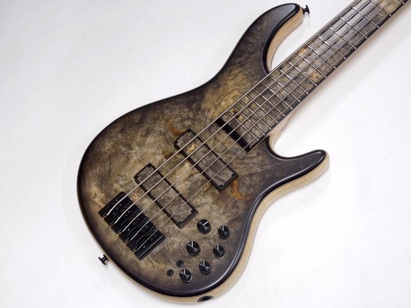 STR GUITARS LS549 #496 | ワタナベ楽器店 大阪店