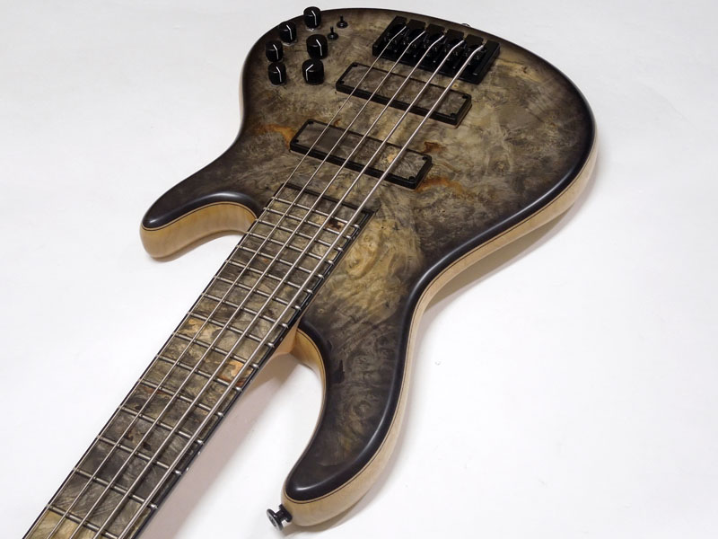 STR LS549 カスタムオーダーモデル STR GUITARS LS549 #496 | ワタナベ楽器店 大阪店