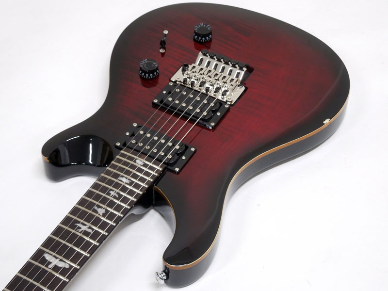 Paul Reed Smith /PRS ポール・リード・スミス SE Floyd Custom