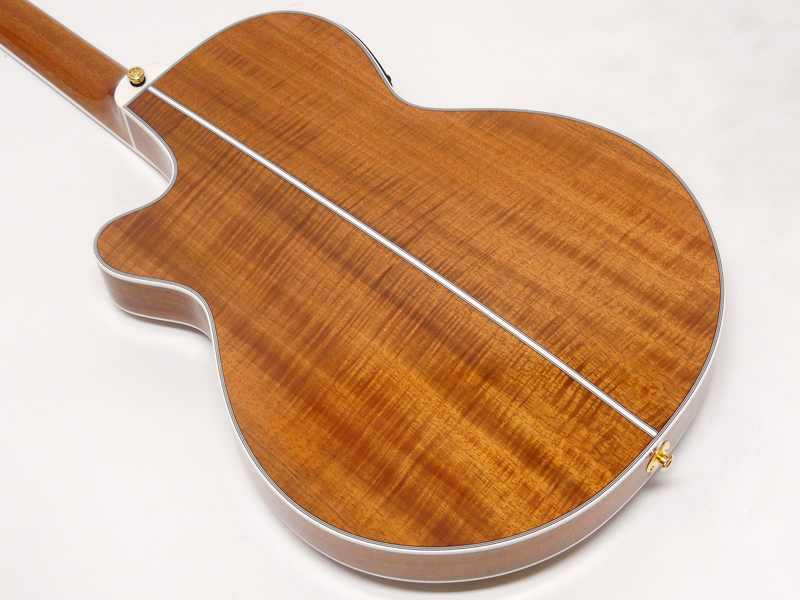 TAKAMINE タカミネ TSP178ACK N【薄胴ボディ 国産 エレアコ 】 送料