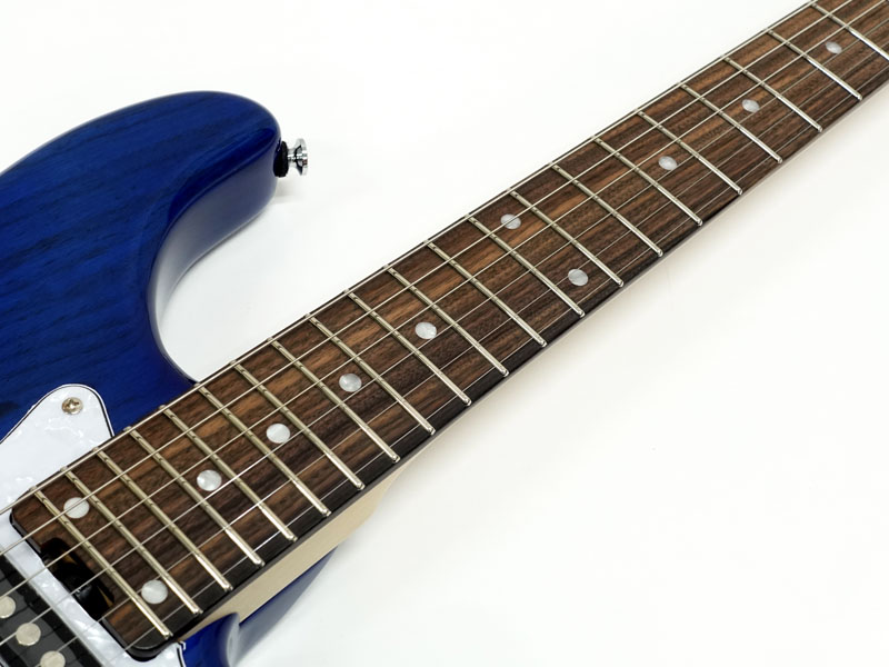 SCHECTER シェクター Oriental Line OL-ST / DBL | ワタナベ楽器