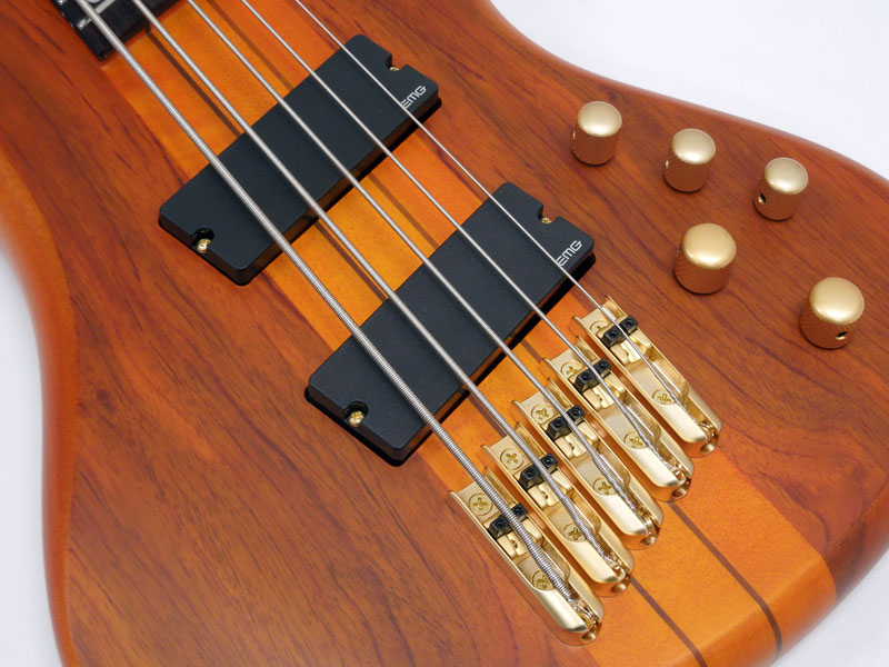 SCHECTER CB-1-STD-5 シェクター 5弦 ベース 楽器・機材