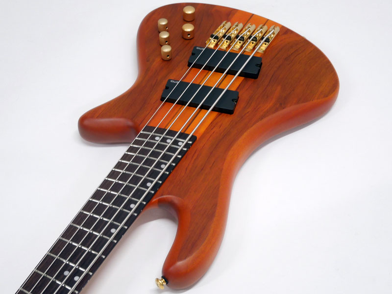 SCHECTER シェクター STILETTO STUDIO 5 FF HSN 5弦ベース