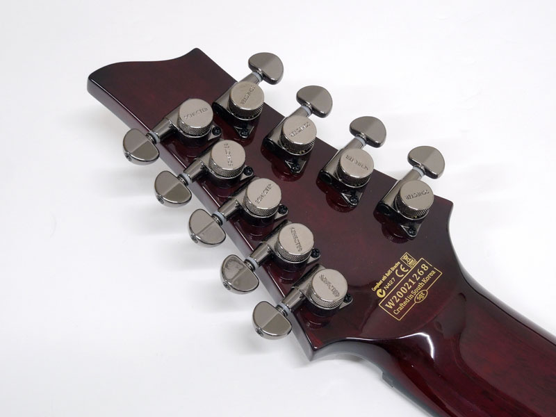Schecter HR-C-9-BCH Hellraiser Black Cherry 9 String Guitar