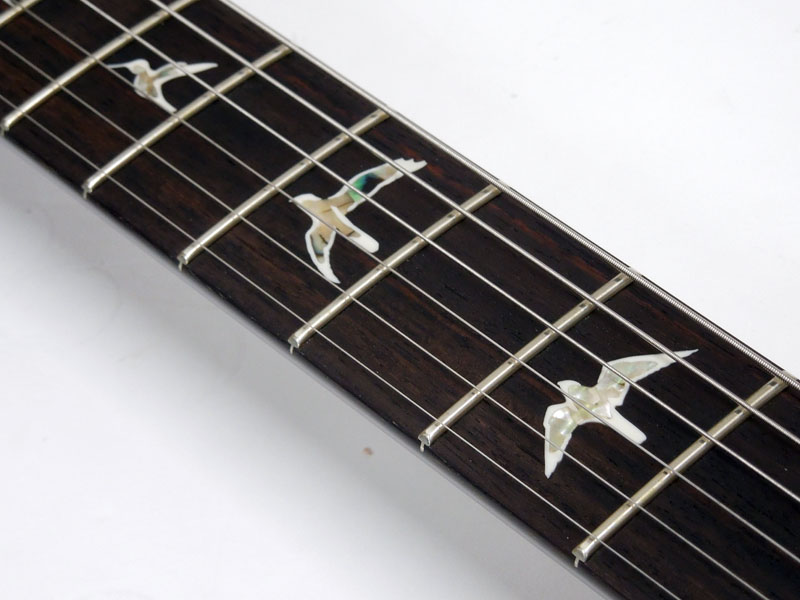 Paul Reed Smith /PRS ポール・リード・スミス Custom24 10Top