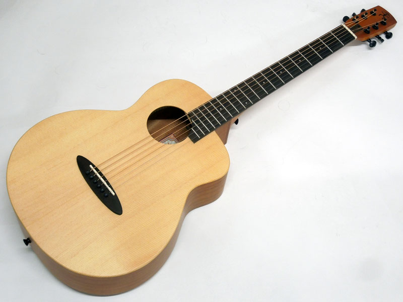 希少 aNueNue ミニアコースティックギター MY10 ケース付