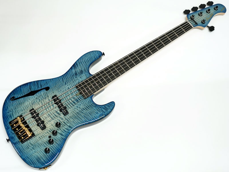 Bacchus バッカス WOODLINE517AC-HOLLOW / Blue | ワタナベ楽器