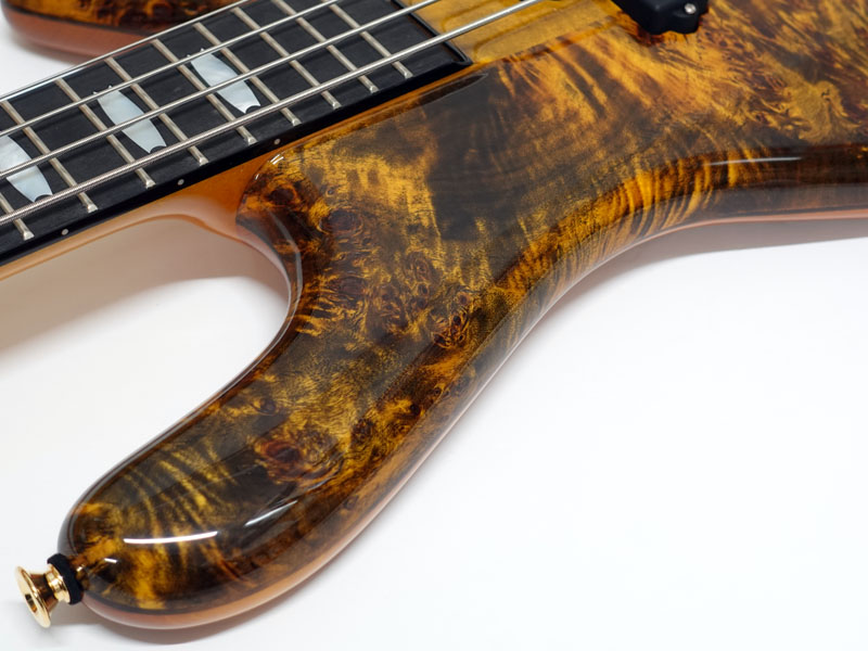 SPECTOR EURO 4 LT Poplar Burl Limited / Tiger Eye Fade 20%OFF