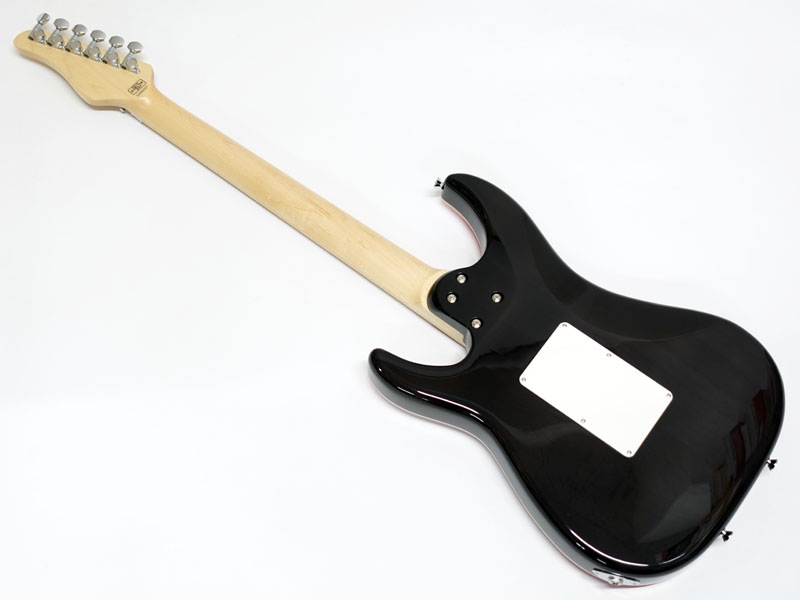 エレキギター シェクター SCHECTER SD-2-24 SCHECTER [※お取り寄せ商品] SD-2-24-AL Rosewood/See-thru Red